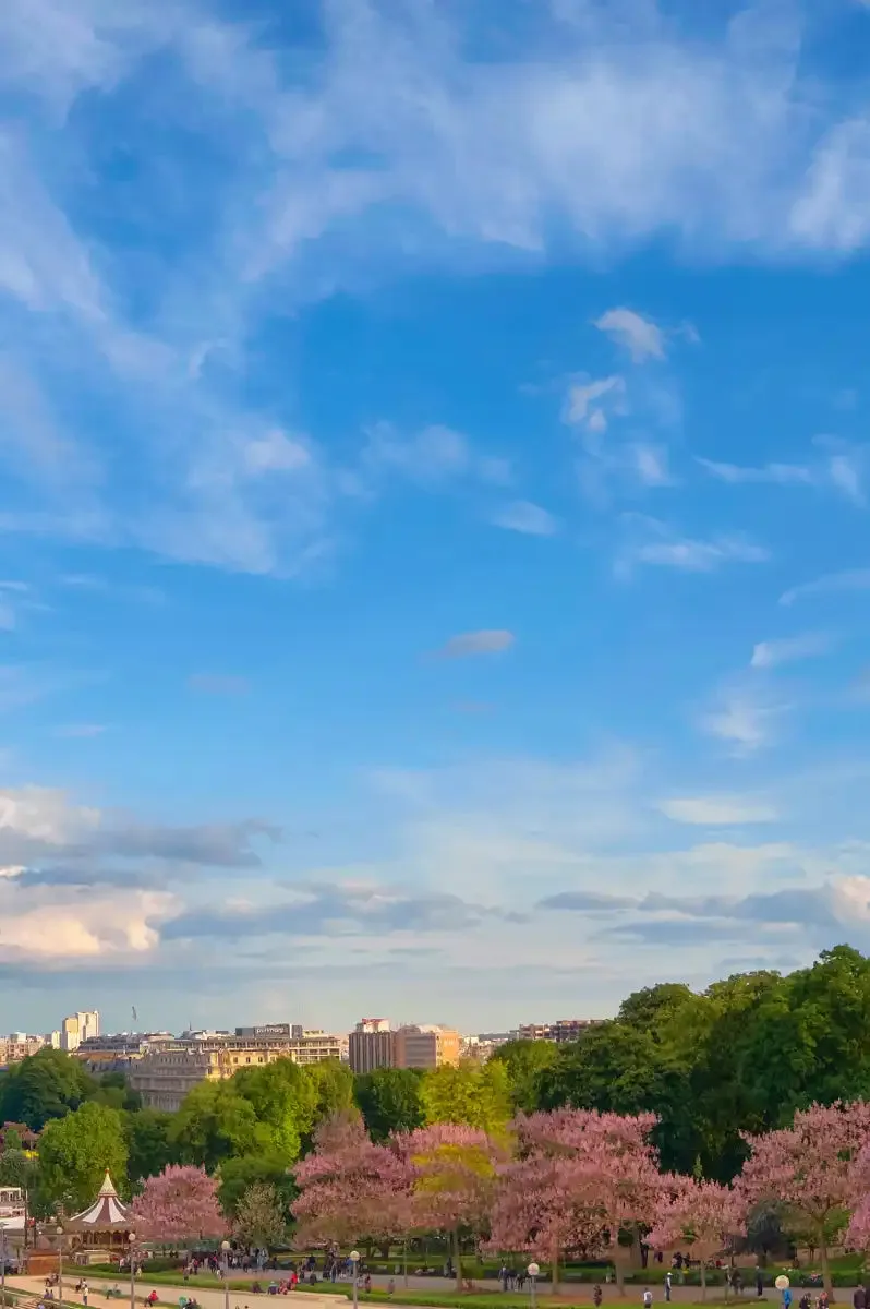 A Clear Day In Paris Wall Art