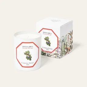 Fig Tree Scented Candle