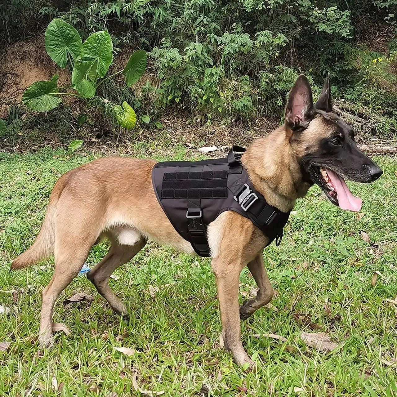 Tactical Dog Harness